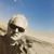 Randy Shroy's profile image