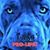 Gail Formosa's profile image