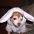 Cheryl White-herman's profile image