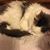 Cindy Jane's profile image