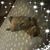 Pat Gerow Greeness's profile image