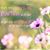 Linda McCall's profile image