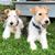 Kristen Gosch Dunn's profile image