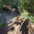 Iliana Chapa's profile image