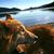 Nadine Basile's profile image