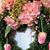 Stella Emmanuel's profile image