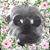 Peggy Strasser's profile image