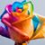 Sandra Hattery's profile image