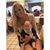 Caroline Brewer's profile image