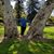 Myles Pacheco's profile image