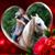Cindy Bradley-Harris's profile image
