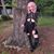 Anna Hubbard's profile image