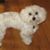 Teddy Dye's profile image