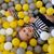 Emily Fedorenko Price's profile image