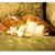 Cheryl Champlain's profile image