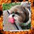 Klotzman Randy's profile image
