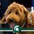Cheryl Adams's profile image