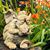 Tamara Stone Voetsch's profile image