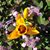 Elaine M. Rush's profile image