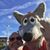 Shane G. Beckwith's profile image