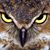 Joe Pundzak's profile image
