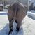Lauren LeCoque's profile image