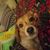 Bev Baker-Robinson's profile image