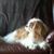 Michelle Hesch's profile image