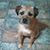 Wanda Cantrell's profile image