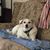 Joyce Lorish's profile image