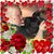 Lee Lee's profile image