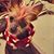 Darlene Taylor's profile image