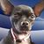 Karen Goebel-Humphries's profile image
