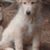 Carol Howell's profile image