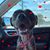 Melissa Schroeter's profile image
