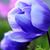 Tiffany Burston's profile image