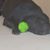 Lynne Kelly Cline's profile image