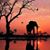 Tina Stocker's profile image