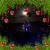 Jodi Johnson Wilson's profile image