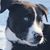 Wendy Burns Petak's profile image