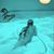 Julie Anne McVay's profile image