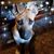 Gennifer White Lawrence's profile image
