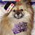 Tim Abbott's profile image