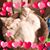 Amy Hays Craane's profile image