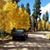 Timothy Brown's profile image