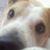 Barry Russell's profile image
