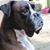 Marlinda Verschuren's profile image