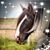 Julianne Guarino's profile image