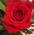 Lisa Jowers's profile image