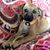 Danette Myers's profile image